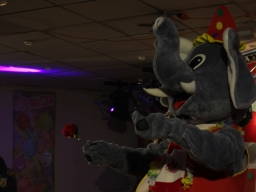 20260214-Carnavals-Zaterdag