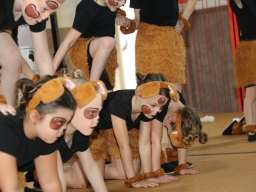 20260308-17de-DansFestival