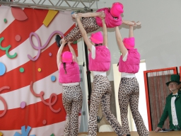 20260308-17de-DansFestival